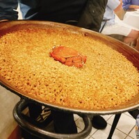 anchoa - 