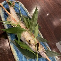 魚心 新宿総本店 - 