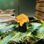 鮨あさひ - ウニ