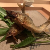 淡流 - 