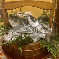 魚めし 竹亭 - 