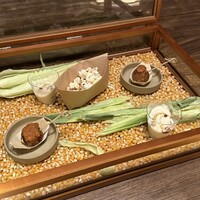 yokoyama - 