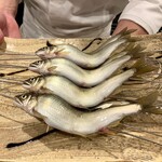 日本料理 さとう - 料理写真: