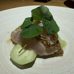 オステリア イル ガルボ - 