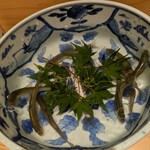 赤坂 剱持 - 生きている鮎の稚魚