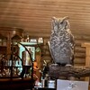 owl land cafe 