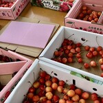 仲野観光果樹園 - 