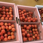 仲野観光果樹園 - 