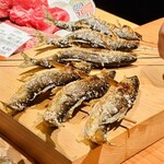 新日本料理おぶね - 