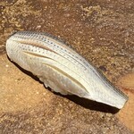 すし屋のさい藤 - 