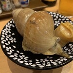 のがみ - 白バイ貝