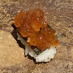 すし屋のさい藤 - 