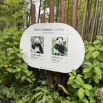 銀座ライオン - 