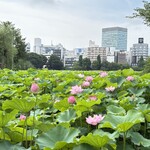 銀座ライオン - 