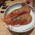 神田錦町 鮨たか晴 - Food Presentation 牡丹海老