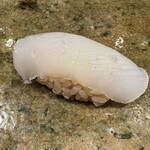 神田錦町 鮨たか晴 - 烏賊