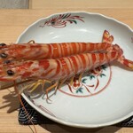 神田錦町 鮨たか晴 - Food Presentation 車海老