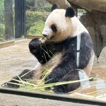 銀座ライオン - 