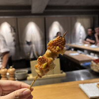 黒さつま鶏 煉火 - 