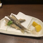 はかた こぶし - 