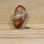 鮨処 つく田 - 赤西貝