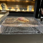 307684517 - 