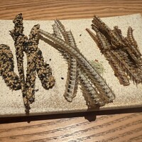 うなぎ四代目菊川 ヒルトンプラザウエスト大阪店 - 