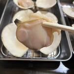 浜焼活貝 いさむ - 白ハマグリ　アップ
