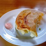 手打ち佐野ラーメン 佐野屋 - 