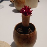 ラ・ヴァガボンド - 