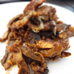 フォリオリーナ・デッラ・ポルタ・フォルトゥーナ - 