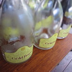 フォリオリーナ・デッラ・ポルタ・フォルトゥーナ - マグナムサイズ