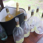 フォリオリーナ・デッラ・ポルタ・フォルトゥーナ - キンキン