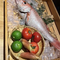 のどぐろ専門 銀座 中俣 - 