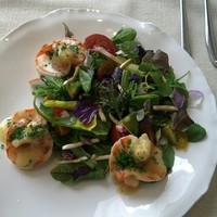 Jean-Georges Tokyo - シュリンプサラダと有機ハーブ
