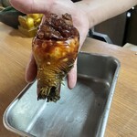 やんちゃぼうず - ほや