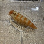 千住 しげ - 車海老