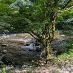 山菜料理 みたき園 - 