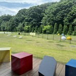 アルトラーチェ - 