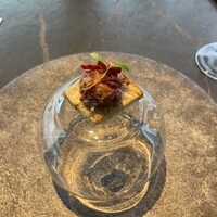 International cuisine subzero - 