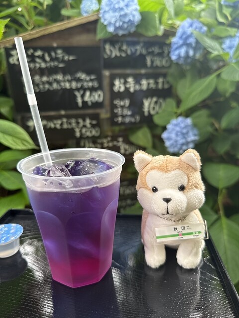 あじさいカフェ - 男鹿市その他（カフェ）の写真