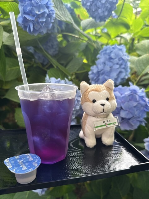 あじさいカフェ - 男鹿市その他（カフェ）の写真