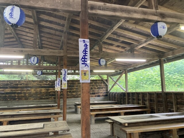 Wonderland Sapporo photo 5