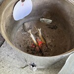 鮎のたなみや - 