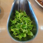 カリー フランキー軒 - パクチーミックス(パクチーと豆苗をミックスしてパクチーの癖をやわらげている)