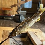 鮎のたなみや - 