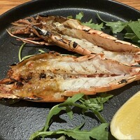 RIGOLETTO KITCHEN - 