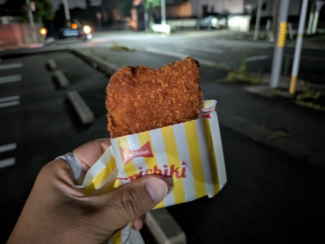 FamilyMart  Inazawa Konaowa Shinmeicho Ten photo 4