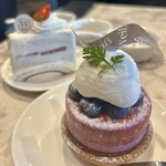 ヴァイスベーレン - 