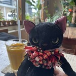 Natural Cafe Iina - 店内(ネコは私物)